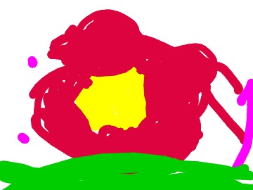 bojanke_1737642285.png