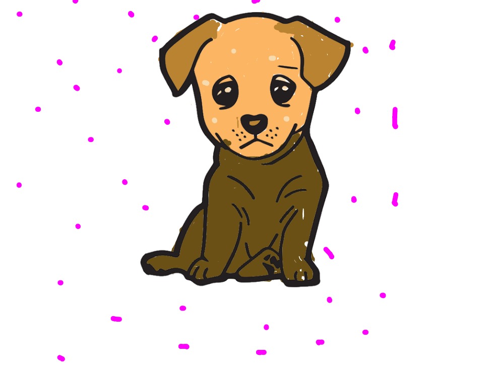 bojanke_1737660603.png