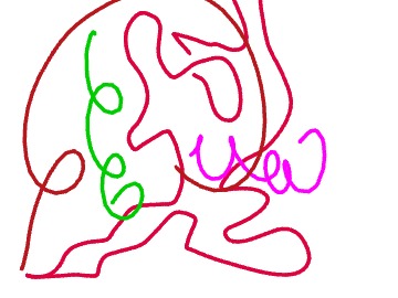 bojanke_1737705911.png