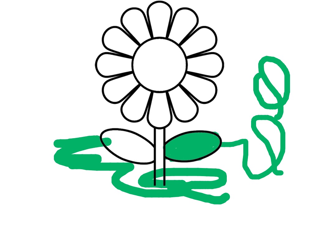 bojanke_1737811288.png