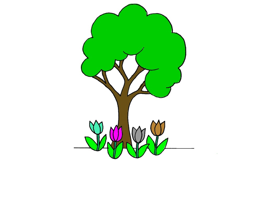 bojanke_1737813990.png