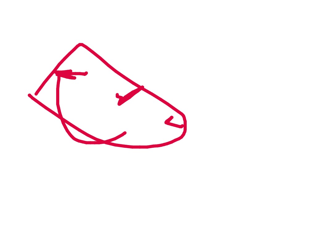 bojanke_1738001433.png