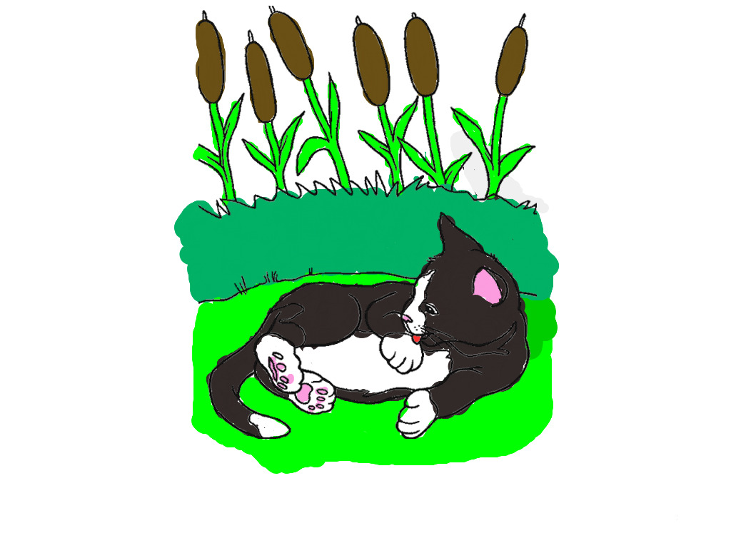 bojanke_1738093838.png
