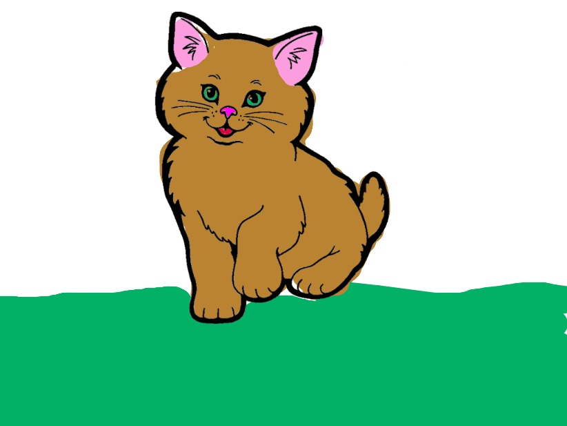 bojanke_1738325525.png
