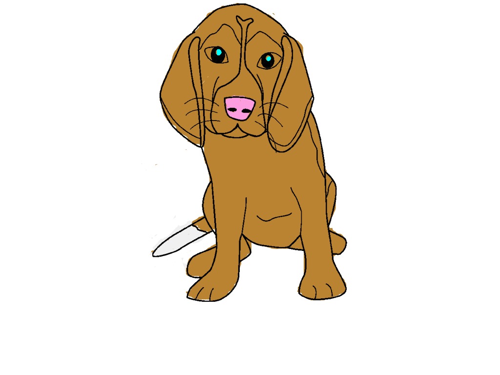 bojanke_1738562704.png