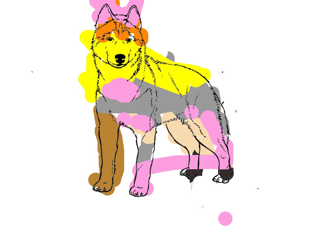 bojanke_1738662151.png