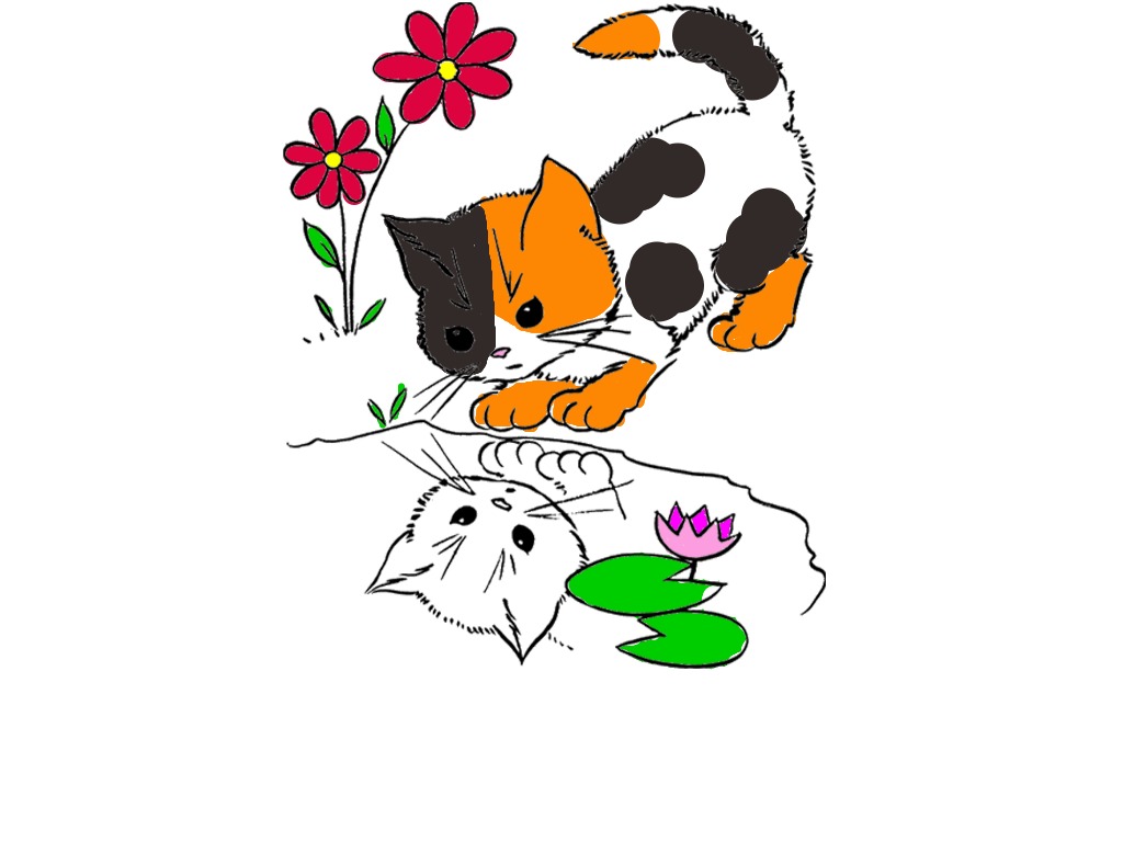 bojanke_1738763592.png