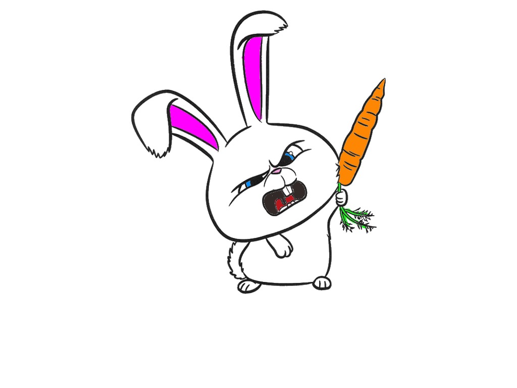 bojanke_1738921499.png