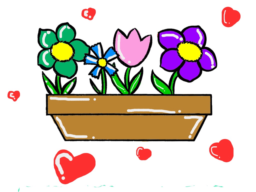 bojanke_1739047594.png