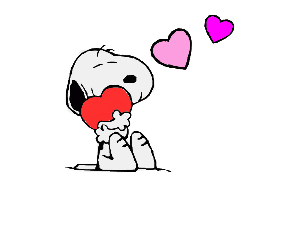 bojanke_1739276362.png