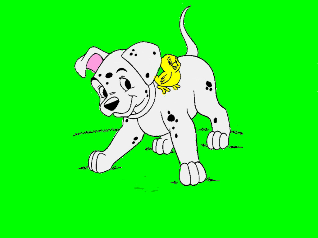 bojanke_1739309451.png