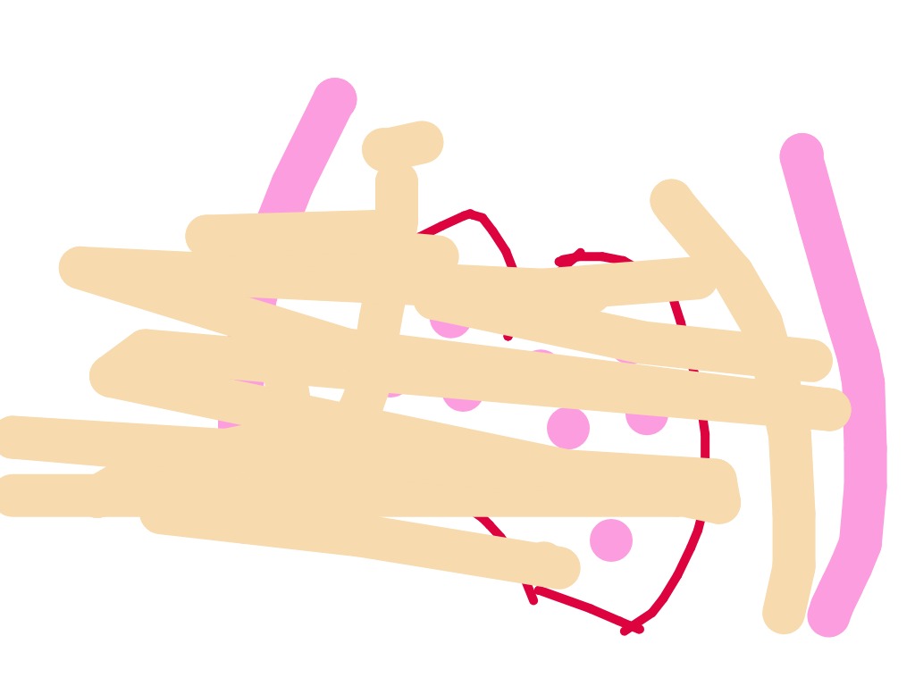bojanke_1739724778.png