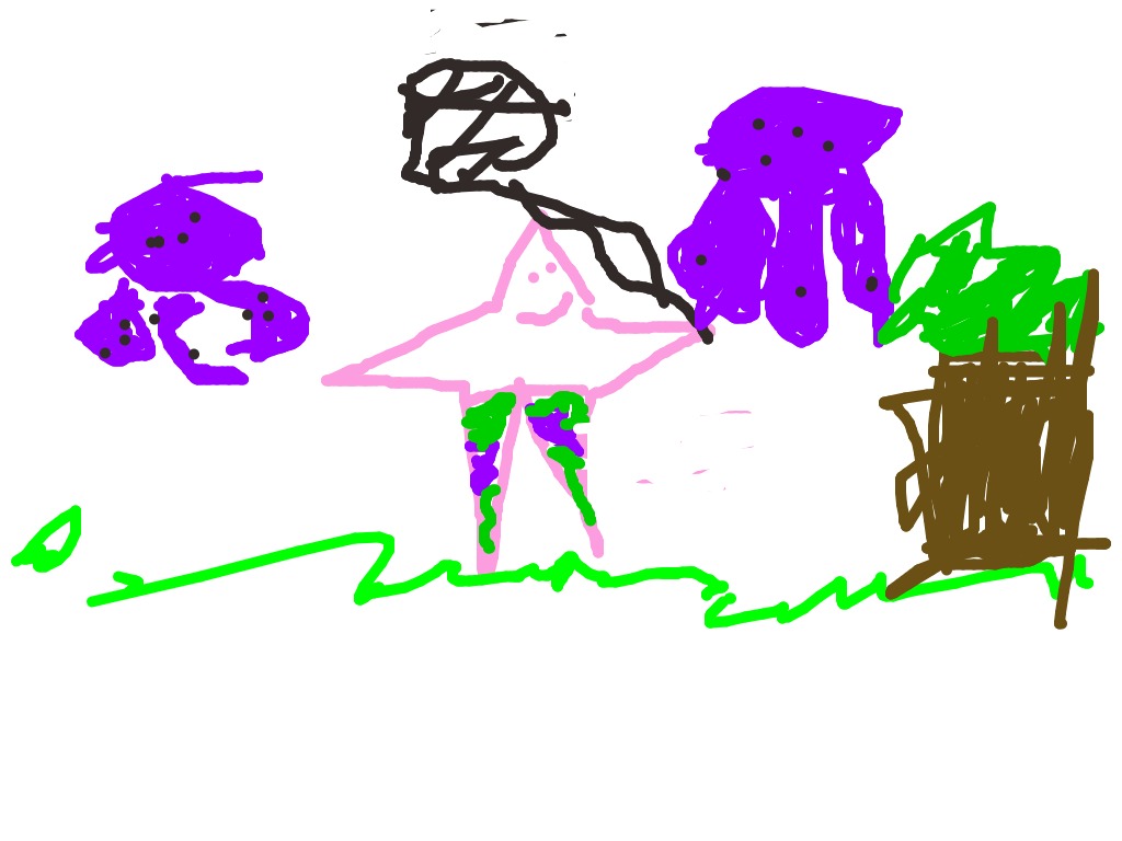 bojanke_1739802559.png