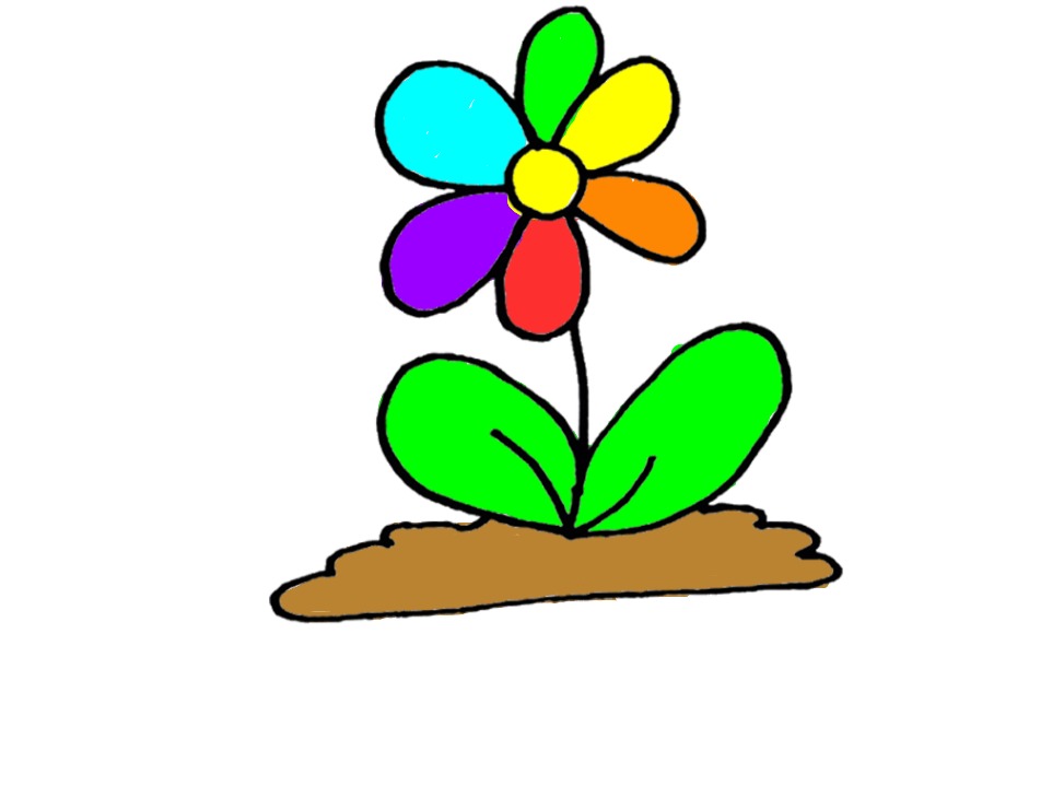 bojanke_1740060871.png