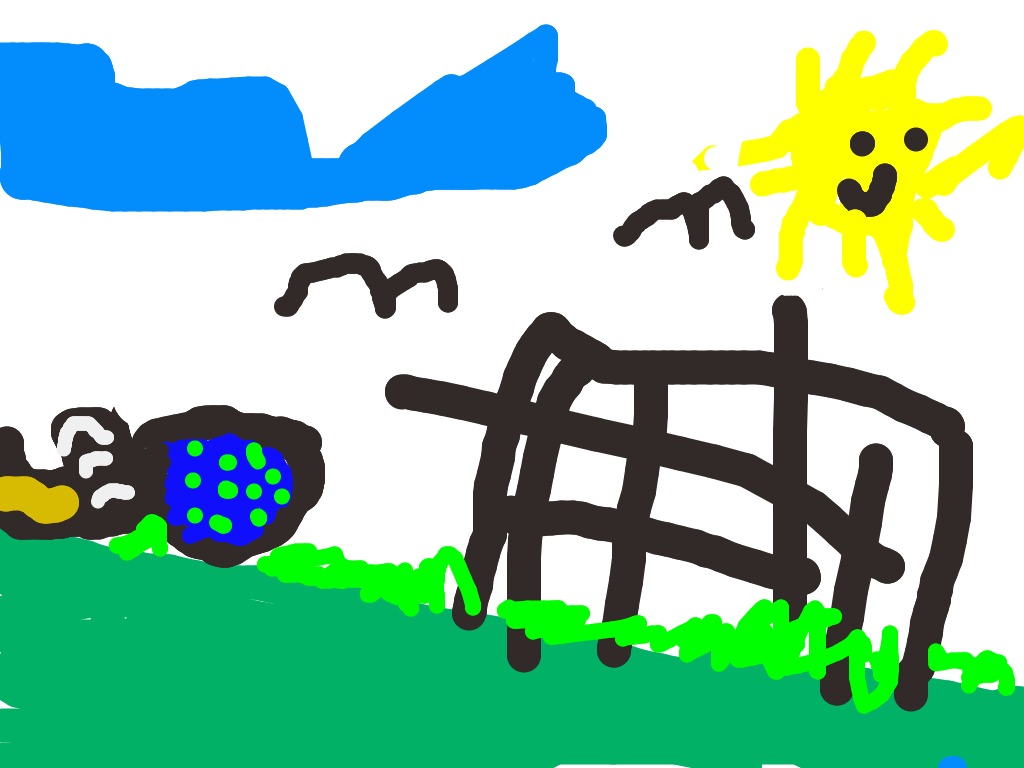 bojanke_1740149866.png