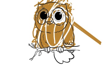bojanke_1740257302.png
