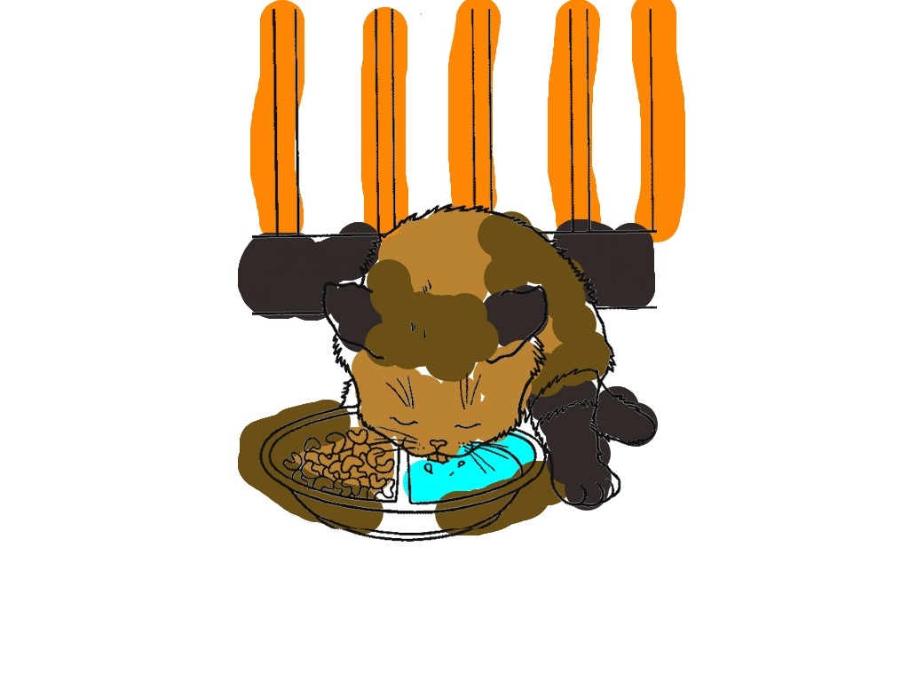 bojanke_1740402478.png