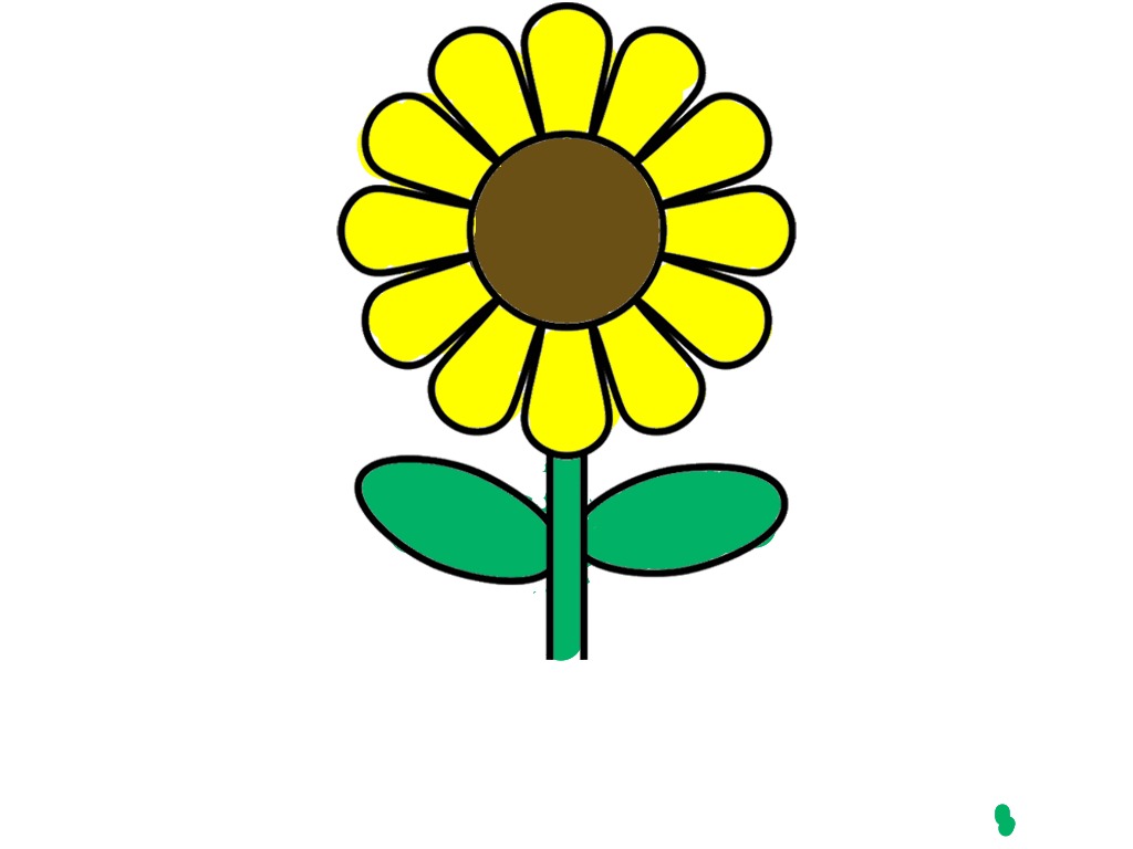 bojanke_1740576800.png