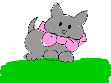 bojanke_1740589773.png
