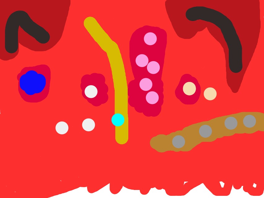 bojanke_1740600224.png