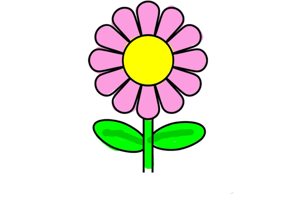 bojanke_1740608205.png