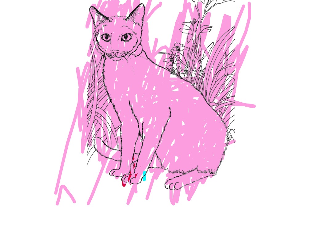 bojanke_1740653503.png