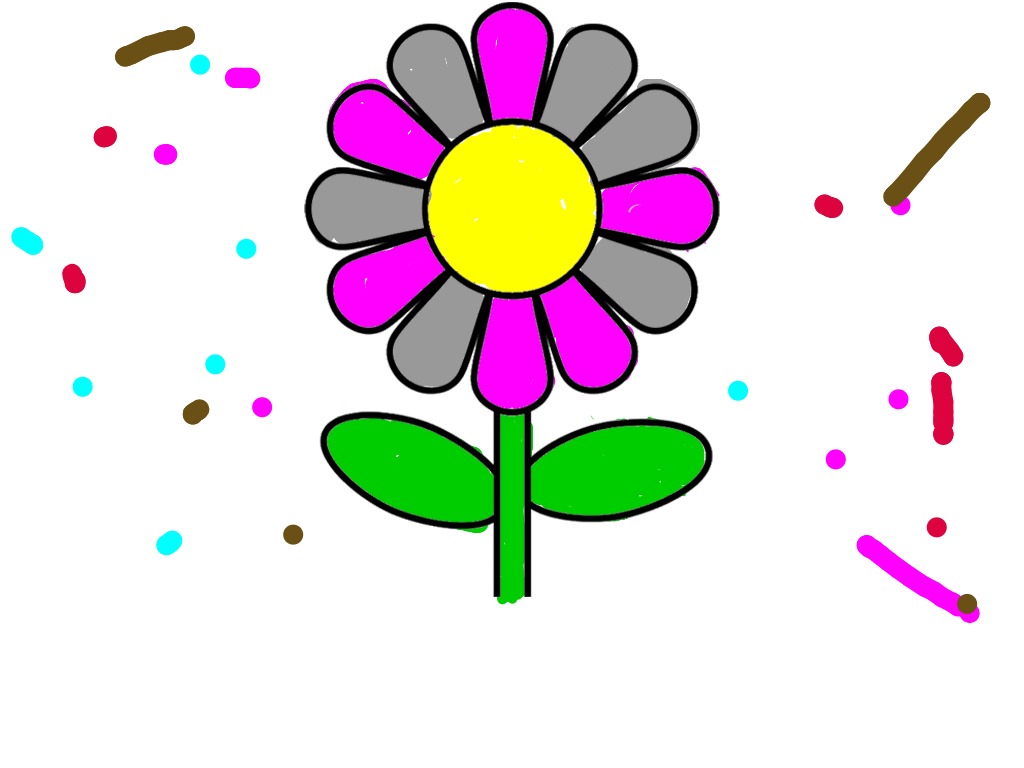 bojanke_1740766249.png