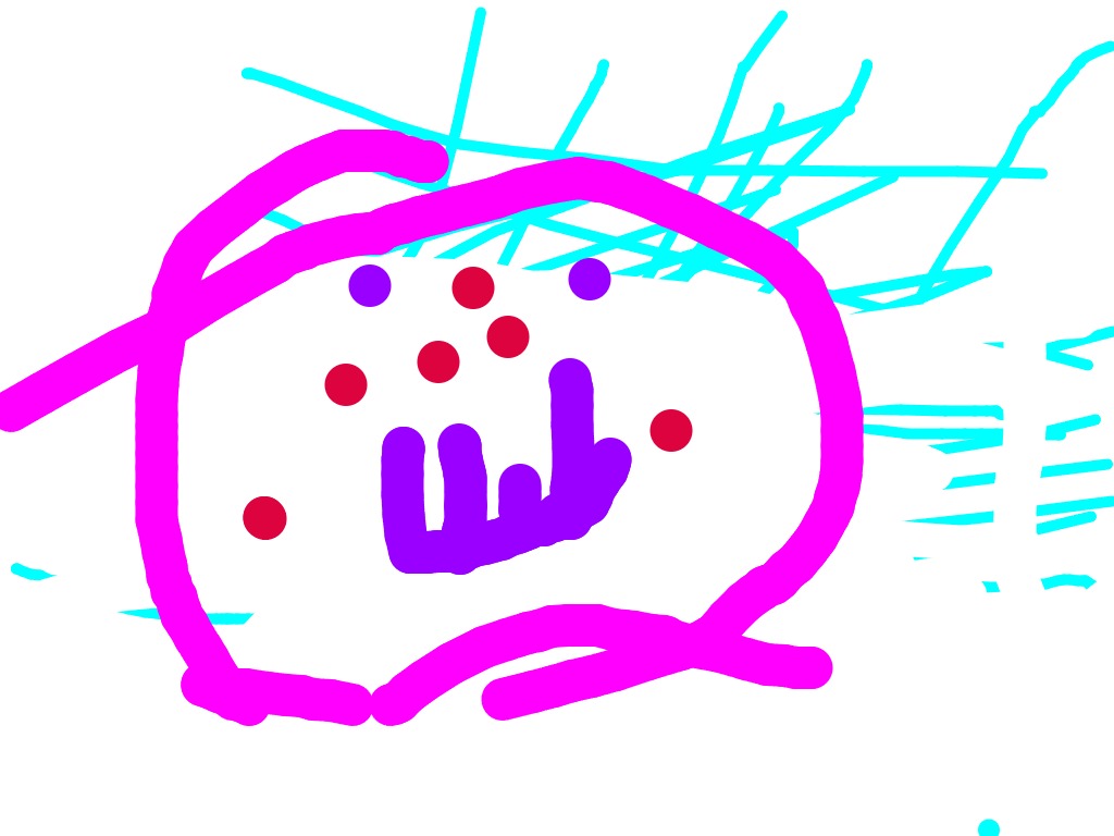 bojanke_1741111697.png
