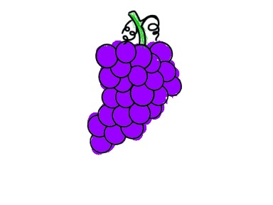 bojanke_1741264466.png