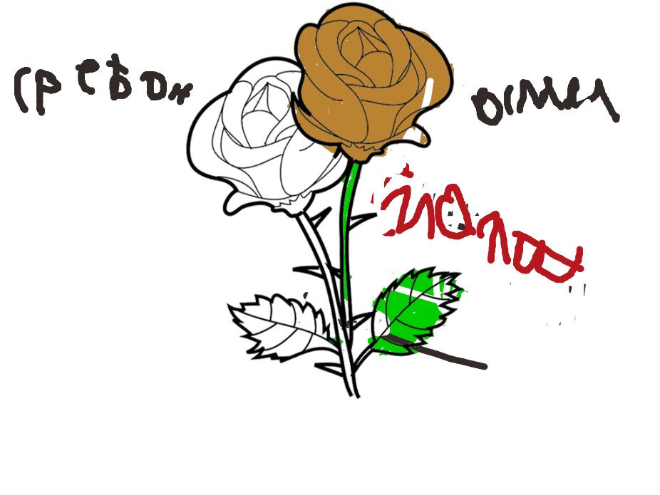 bojanke_1741331962.png