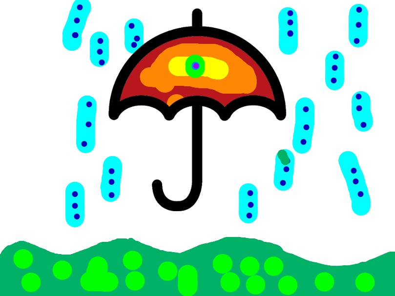 bojanke_1741374688.png