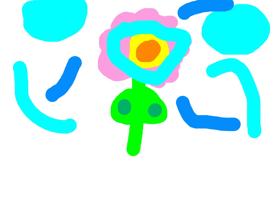 bojanke_1741425152.png