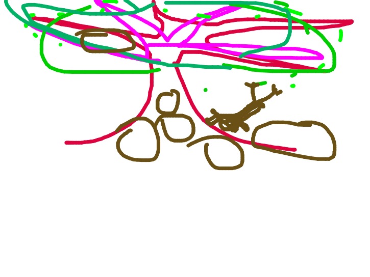 bojanke_1741433852.png