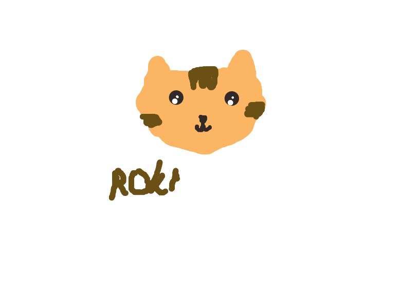 bojanke_1741497171.png