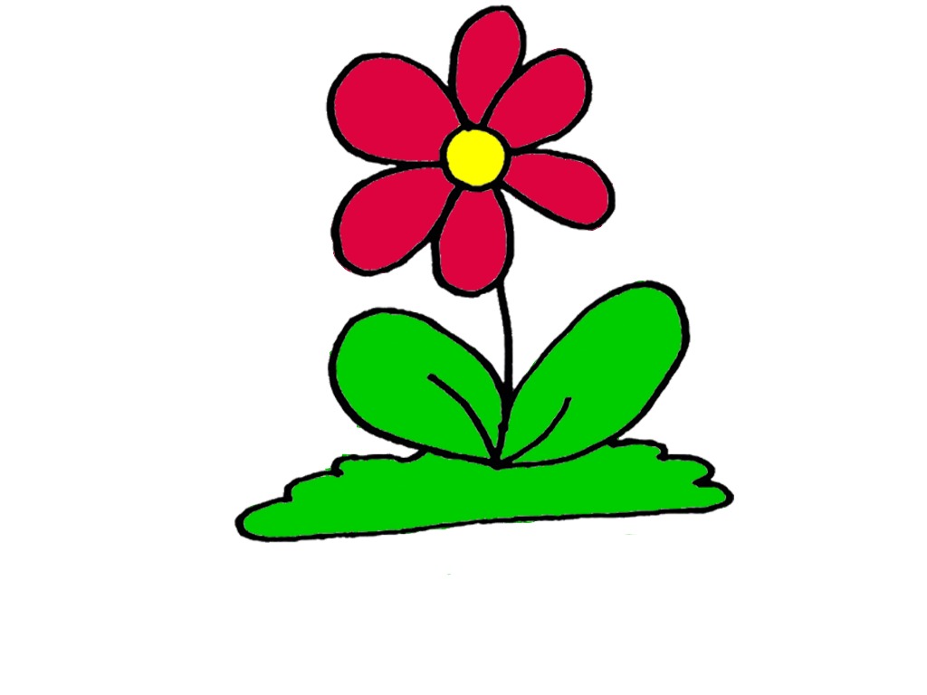 bojanke_1741511243.png