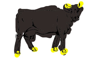 bojanke_1741725538.png