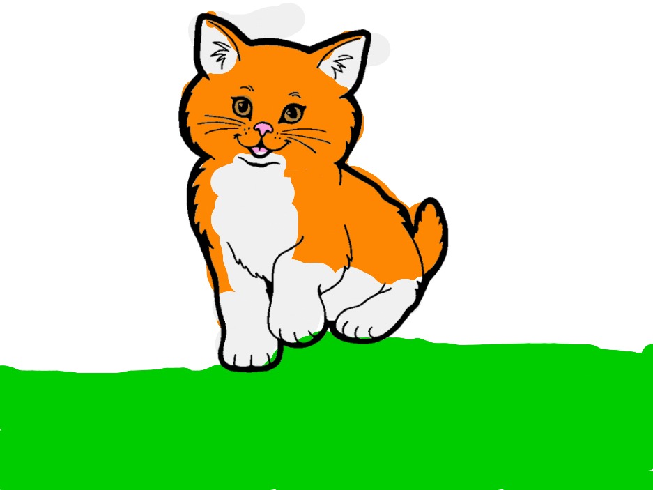 bojanke_1741787477.png
