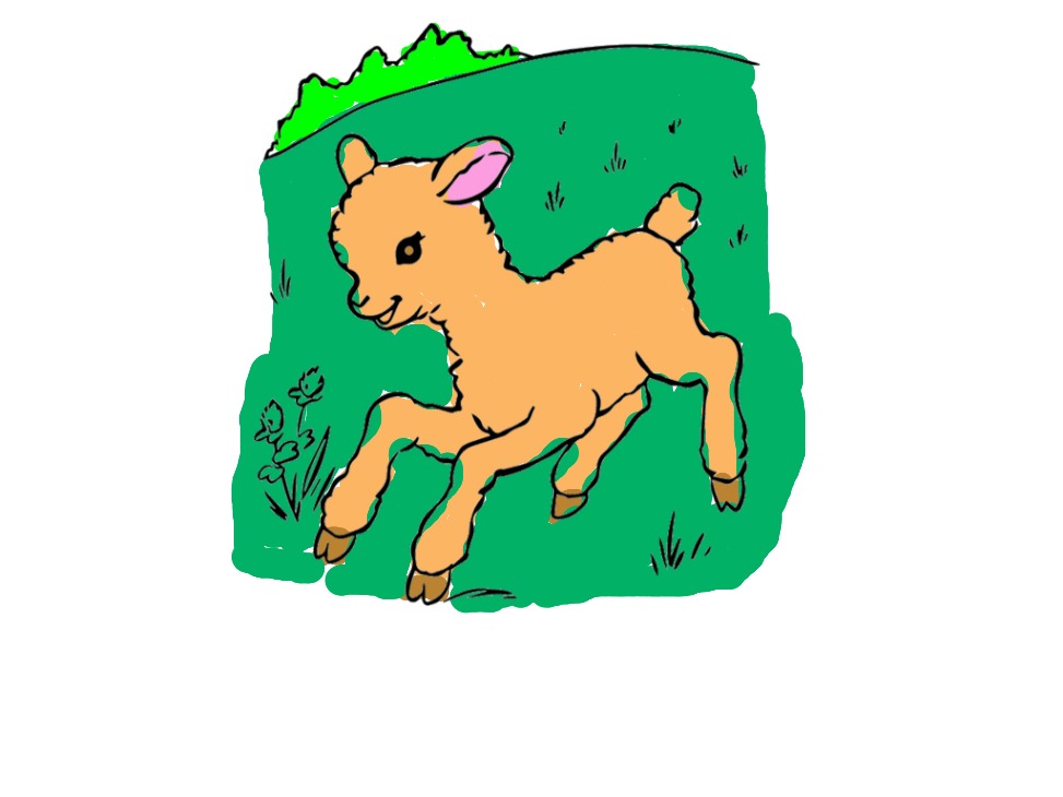bojanke_1741885841.png