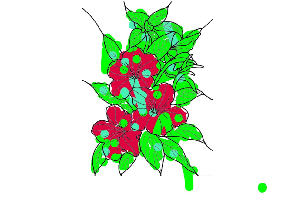 bojanke_1741888031.png