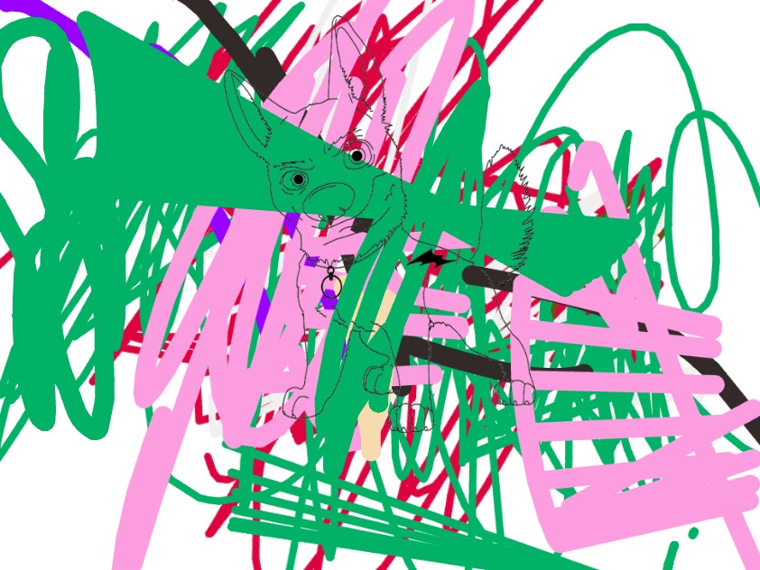 bojanke_1742134503.png