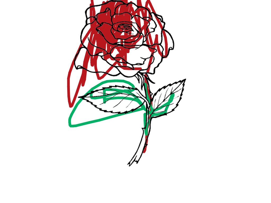 bojanke_1742154730.png