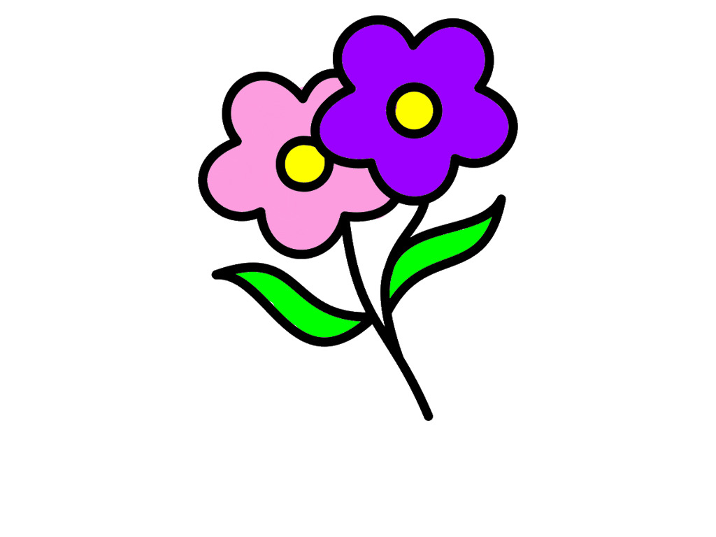bojanke_1742487753.png