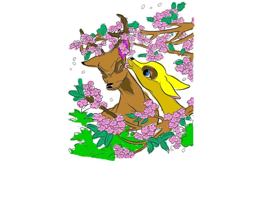 bojanke_1742929888.png