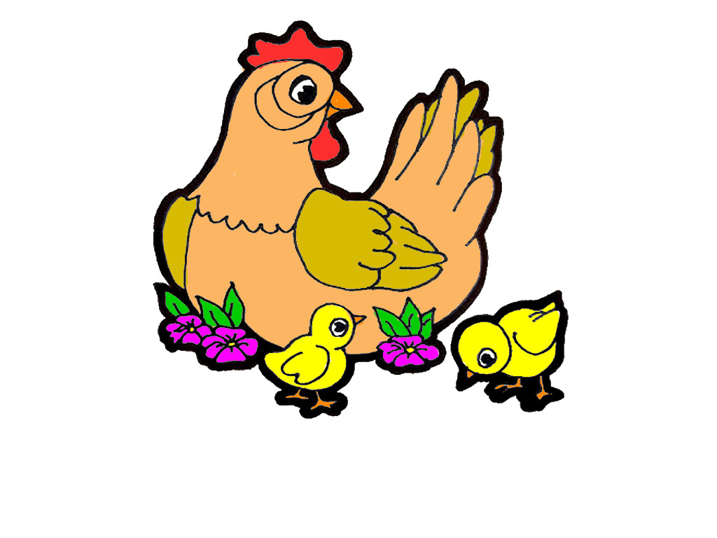 bojanke_1743147719.png