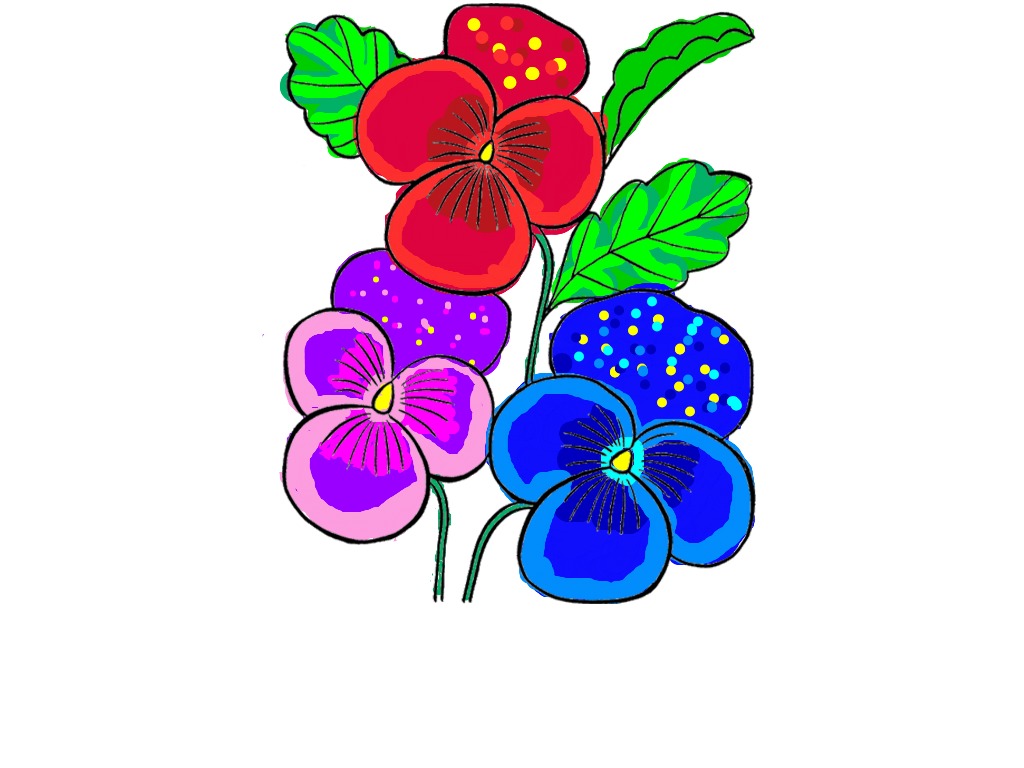 bojanke_1743283277.png