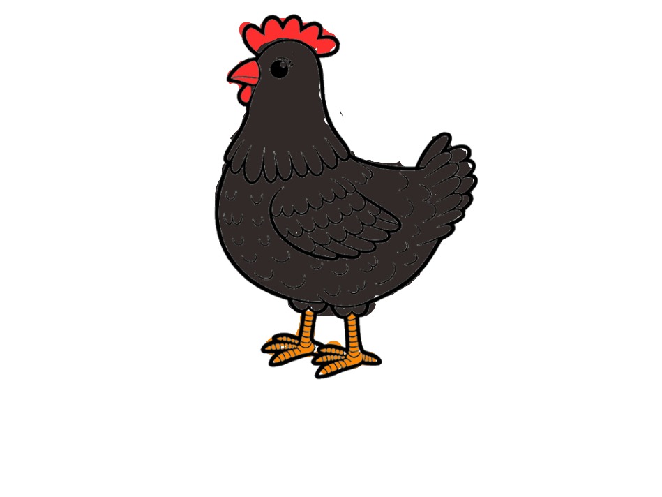 bojanke_1743513937.png