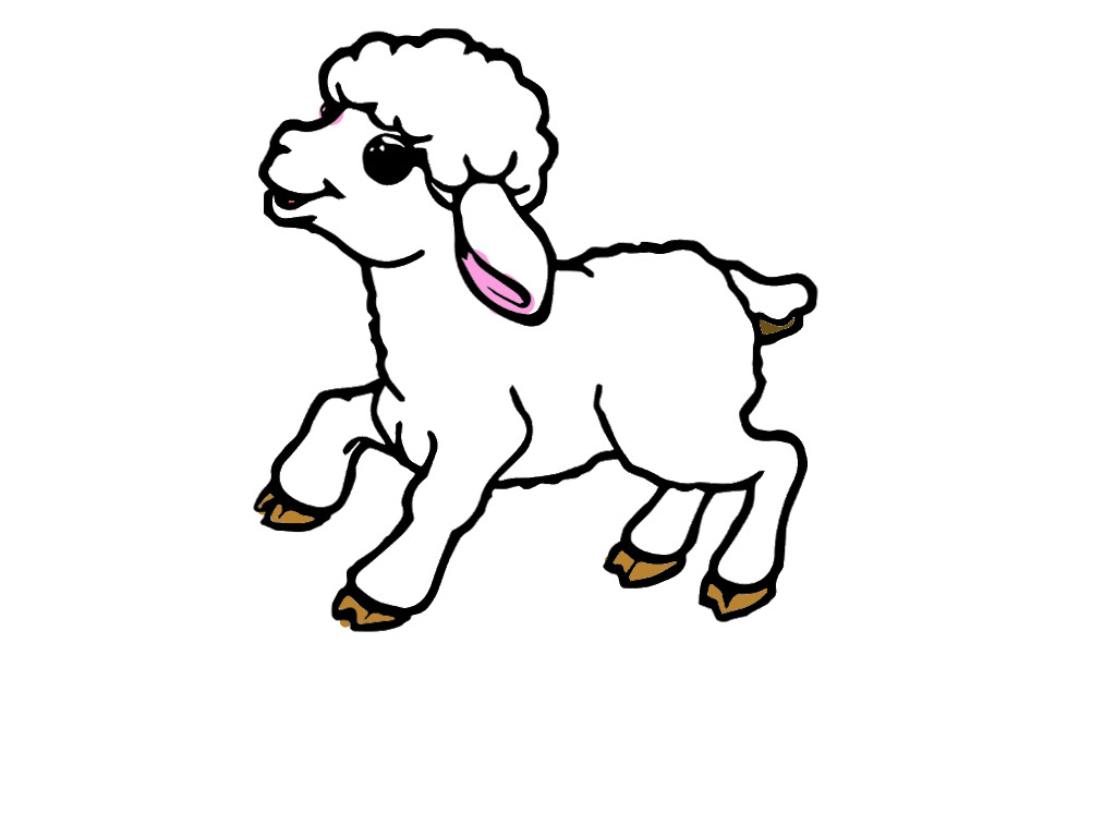 bojanke_1744214883.png