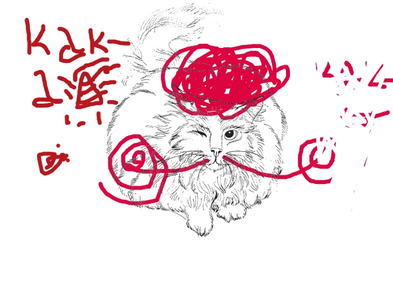 bojanke_1744964807.png
