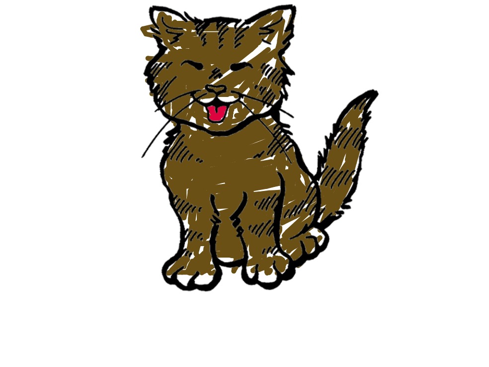 bojanke_1745001888.png