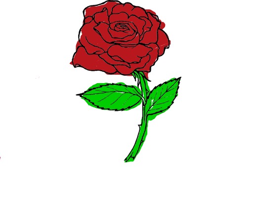 bojanke_1745307281.png